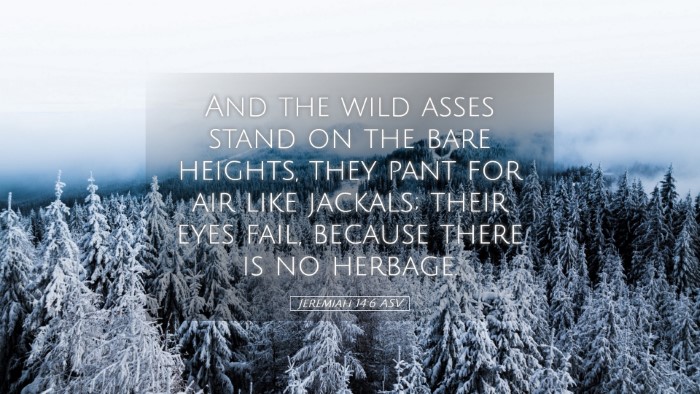 Picture 05 - Jeremiah 14:6 ASV Desktop Wallpaper - And the wild asses stand on the bare heights, - Desktop Bible Verse Wallpaper