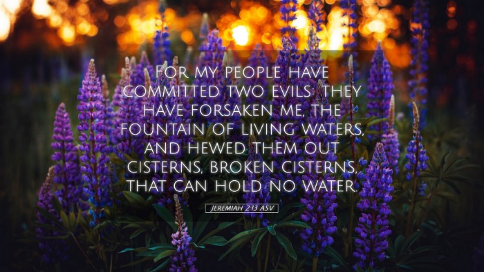 Picture 05 - Jeremiah 2:13 ASV Desktop Wallpaper - For my people have committed two evils: they have - Desktop Bible Verse Wallpaper