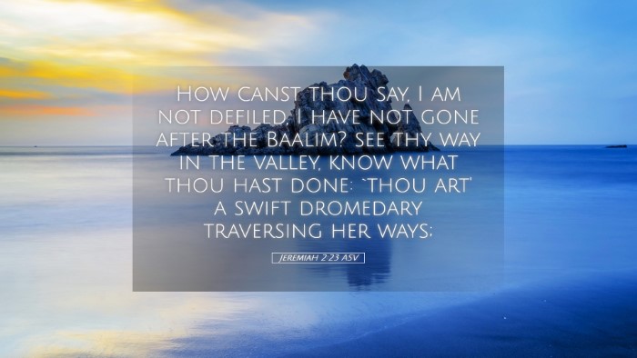 Picture 05 - Jeremiah 2:23 ASV Desktop Wallpaper - How canst thou say, I am not defiled, I have not - Desktop Bible Verse Wallpaper