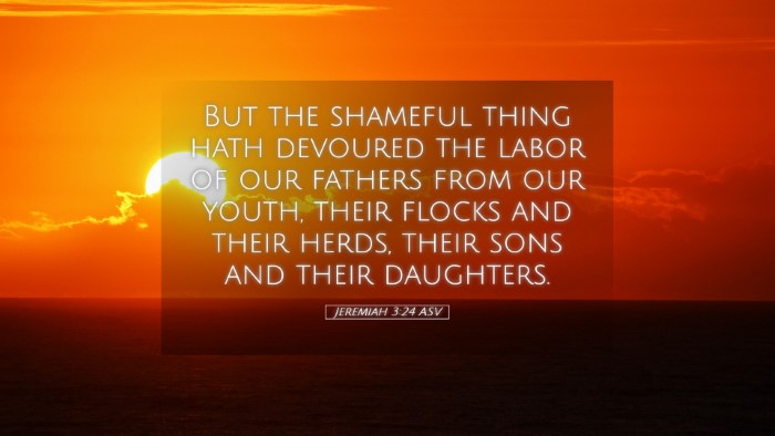 Picture 05 - Jeremiah 3:24 ASV Desktop Wallpaper - But the shameful thing hath devoured the labor of - Desktop Bible Verse Wallpaper