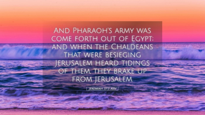 Picture 05 - Jeremiah 37:5 ASV Desktop Wallpaper - And Pharaoh's army was come forth out of Egypt; - Desktop Bible Verse Wallpaper