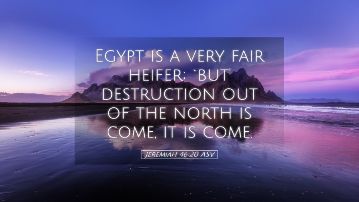 Picture 05 - Jeremiah 46:20 ASV Desktop Wallpaper - Egypt is a very fair heifer; `but' destruction - Desktop Bible Verse Wallpaper