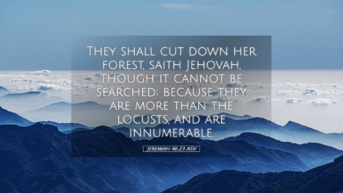 Picture 05 - Jeremiah 46:23 ASV Desktop Wallpaper - They shall cut down her forest, saith Jehovah, - Desktop Bible Verse Wallpaper