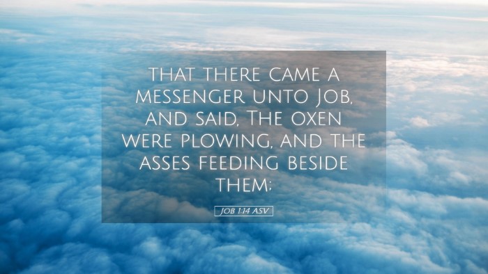 Picture 05 - Job 1:14 ASV Desktop Wallpaper - that there came a messenger unto Job, and said, - Desktop Bible Verse Wallpaper