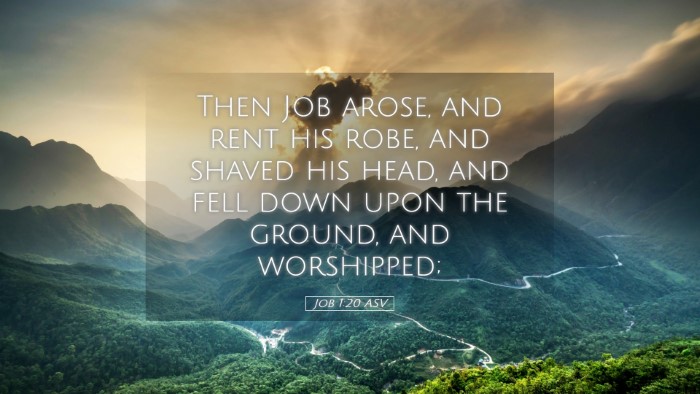 Picture 05 - Job 1:20 ASV Desktop Wallpaper - Then Job arose, and rent his robe, and shaved his - Desktop Bible Verse Wallpaper