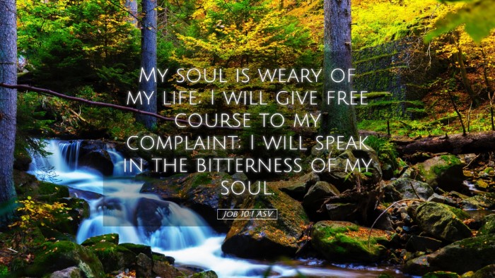 Picture 05 - Job 10:1 ASV Desktop Wallpaper - My soul is weary of my life; I will give free - Desktop Bible Verse Wallpaper