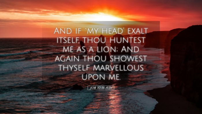Picture 05 - Job 10:16 ASV Desktop Wallpaper - And if `my head' exalt itself, thou huntest me as - Desktop Bible Verse Wallpaper