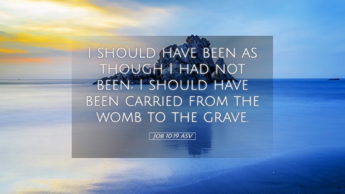 Picture 05 - Job 10:19 ASV Desktop Wallpaper - I should have been as though I had not been; I - Desktop Bible Verse Wallpaper