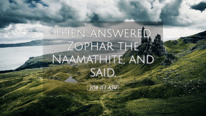 Picture 05 - Job 11:1 ASV Desktop Wallpaper - Then answered Zophar the Naamathite, and - Desktop Bible Verse Wallpaper