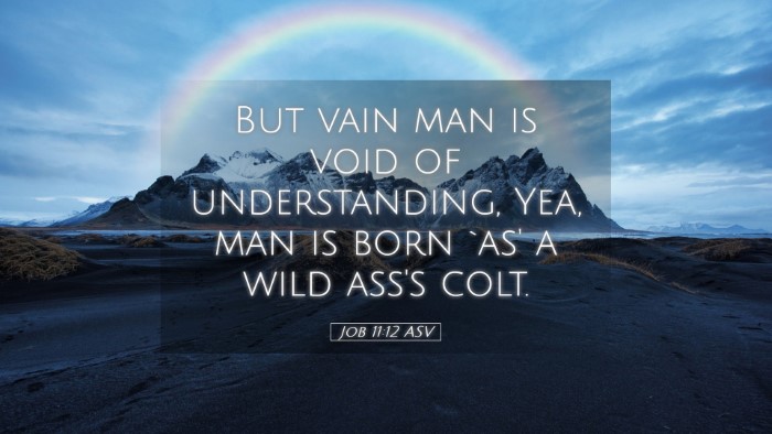 Picture 05 - Job 11:12 ASV Desktop Wallpaper - But vain man is void of understanding, Yea, man - Desktop Bible Verse Wallpaper