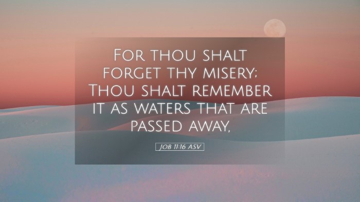 Picture 05 - Job 11:16 ASV Desktop Wallpaper - For thou shalt forget thy misery; Thou shalt - Desktop Bible Verse Wallpaper