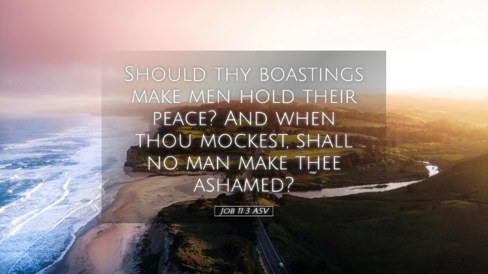 Picture 05 - Job 11:3 ASV Desktop Wallpaper - Should thy boastings make men hold their peace? - Desktop Bible Verse Wallpaper