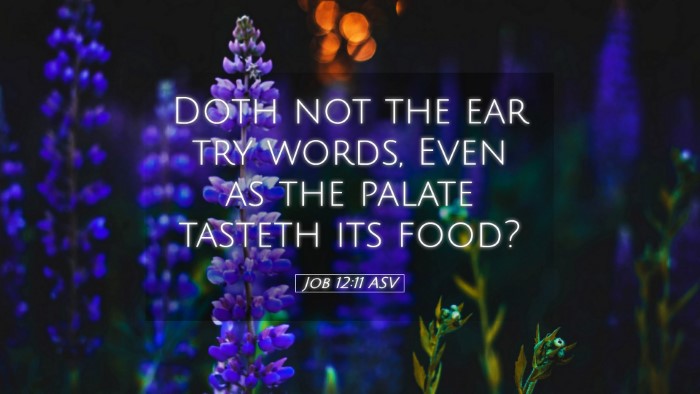 Picture 05 - Job 12:11 ASV Desktop Wallpaper - Doth not the ear try words, Even as the palate - Desktop Bible Verse Wallpaper