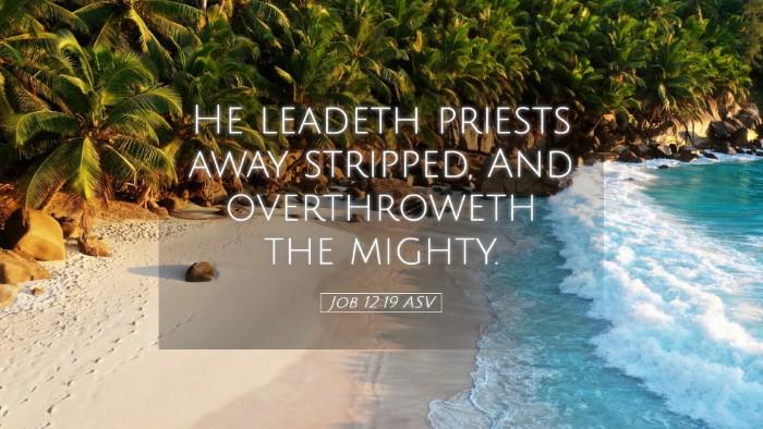 Picture 05 - Job 12:19 ASV Desktop Wallpaper - He leadeth priests away stripped, And - Desktop Bible Verse Wallpaper