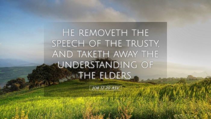 Picture 05 - Job 12:20 ASV Desktop Wallpaper - He removeth the speech of the trusty, And taketh - Desktop Bible Verse Wallpaper