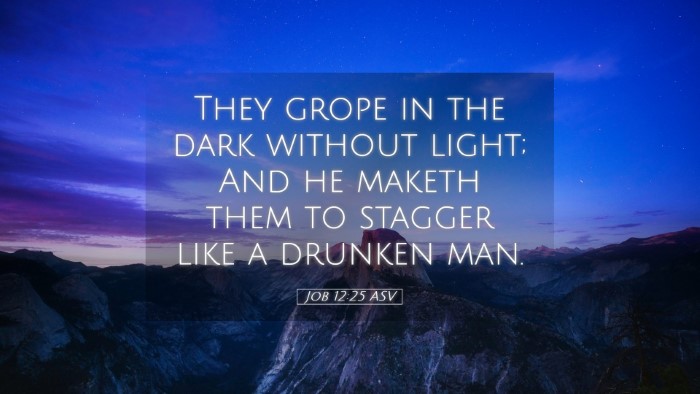 Picture 05 - Job 12:25 ASV Desktop Wallpaper - They grope in the dark without light; And he - Desktop Bible Verse Wallpaper