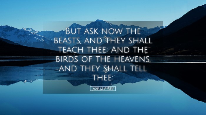 Picture 05 - Job 12:7 ASV Desktop Wallpaper - But ask now the beasts, and they shall teach - Desktop Bible Verse Wallpaper