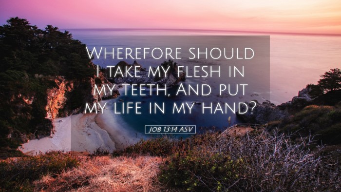 Picture 05 - Job 13:14 ASV Desktop Wallpaper - Wherefore should I take my flesh in my teeth, And - Desktop Bible Verse Wallpaper