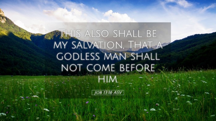 Picture 05 - Job 13:16 ASV Desktop Wallpaper - This also shall be my salvation, That a godless - Desktop Bible Verse Wallpaper