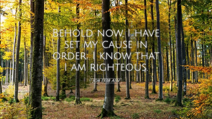Picture 05 - Job 13:18 ASV Desktop Wallpaper - Behold now, I have set my cause in order; I know - Desktop Bible Verse Wallpaper