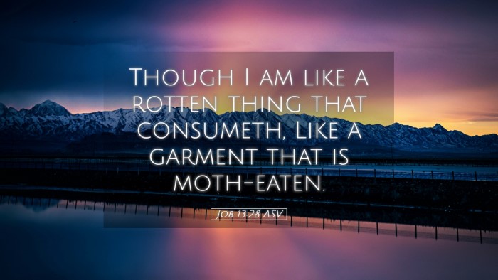 Picture 05 - Job 13:28 ASV Desktop Wallpaper - Though I am like a rotten thing that consumeth, - Desktop Bible Verse Wallpaper