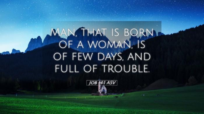 Picture 05 - Job 14:1 ASV Desktop Wallpaper - Man, that is born of a woman, Is of few days, and - Desktop Bible Verse Wallpaper