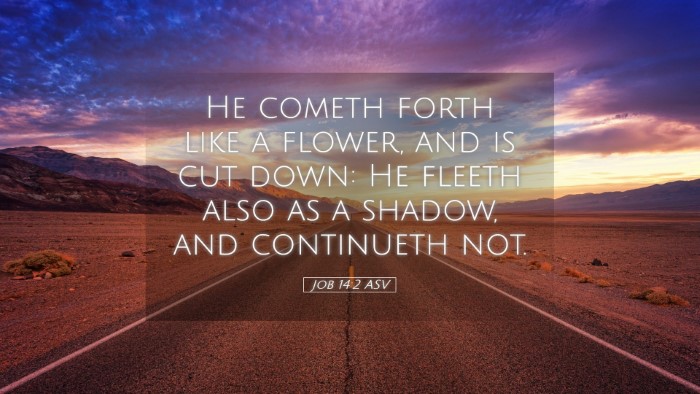 Picture 05 - Job 14:2 ASV Desktop Wallpaper - He cometh forth like a flower, and is cut down: - Desktop Bible Verse Wallpaper