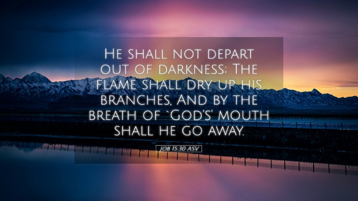 Picture 05 - Job 15:30 ASV Desktop Wallpaper - He shall not depart out of darkness; The flame - Desktop Bible Verse Wallpaper
