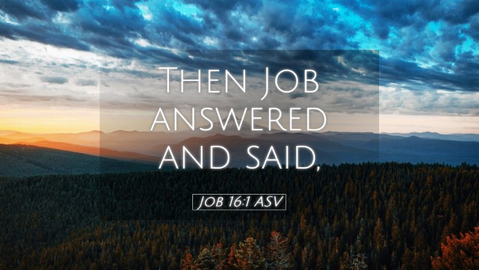 Picture 05 - Job 16:1 ASV Desktop Wallpaper - Then Job answered and - Desktop Bible Verse Wallpaper