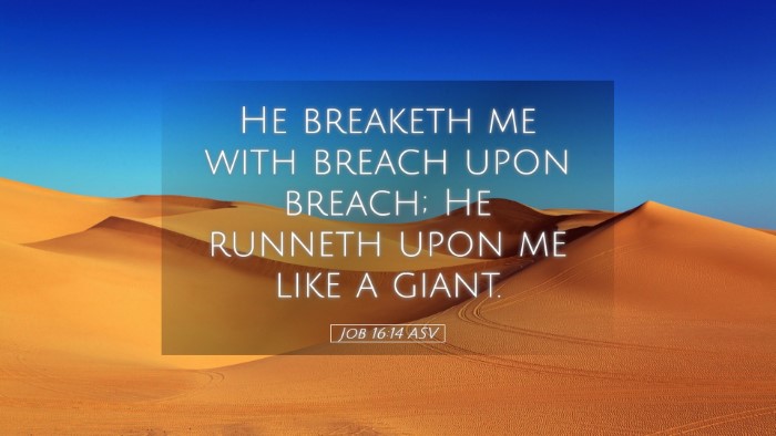 Picture 05 - Job 16:14 ASV Desktop Wallpaper - He breaketh me with breach upon breach; He - Desktop Bible Verse Wallpaper