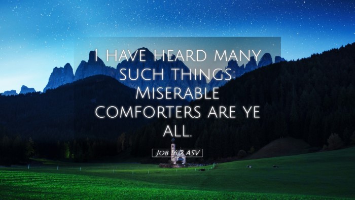 Picture 05 - Job 16:2 ASV Desktop Wallpaper - I have heard many such things: Miserable - Desktop Bible Verse Wallpaper