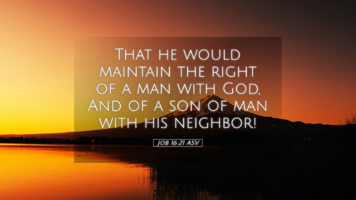 Picture 05 - Job 16:21 ASV Desktop Wallpaper - That he would maintain the right of a man with - Desktop Bible Verse Wallpaper