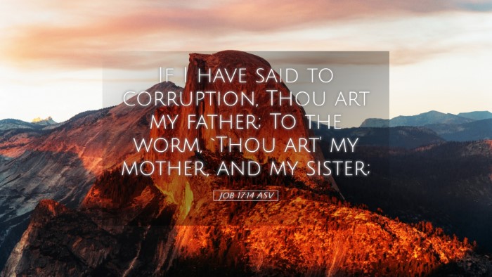 Picture 05 - Job 17:14 ASV Desktop Wallpaper - If I have said to corruption, Thou art my father; - Desktop Bible Verse Wallpaper