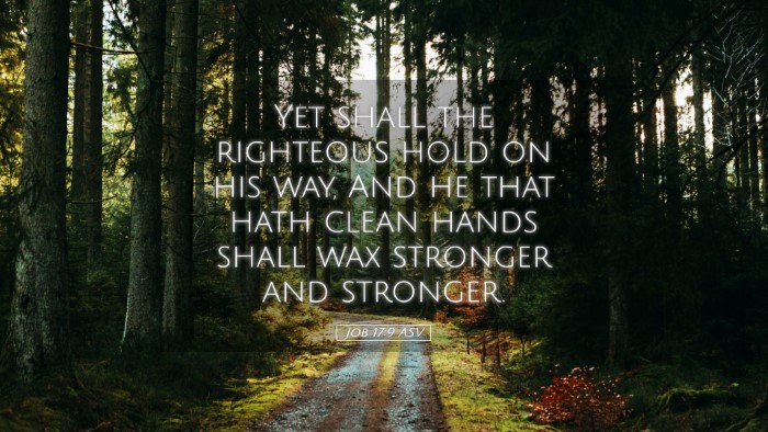 Picture 05 - Job 17:9 ASV Desktop Wallpaper - Yet shall the righteous hold on his way, And he - Desktop Bible Verse Wallpaper