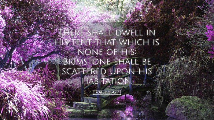 Picture 05 - Job 18:15 ASV Desktop Wallpaper - There shall dwell in his tent that which is none - Desktop Bible Verse Wallpaper