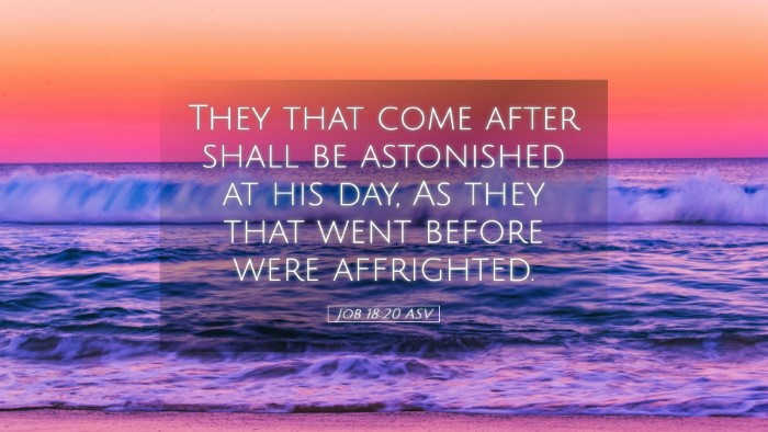 Picture 05 - Job 18:20 ASV Desktop Wallpaper - They that come after shall be astonished at his - Desktop Bible Verse Wallpaper