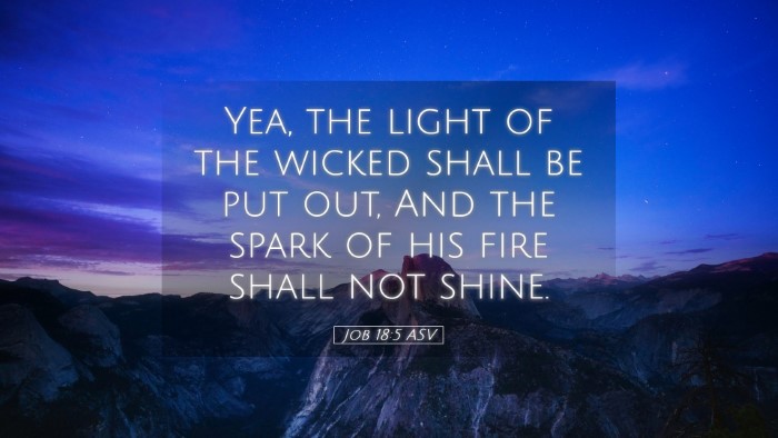 Picture 05 - Job 18:5 ASV Desktop Wallpaper - Yea, the light of the wicked shall be put out, - Desktop Bible Verse Wallpaper