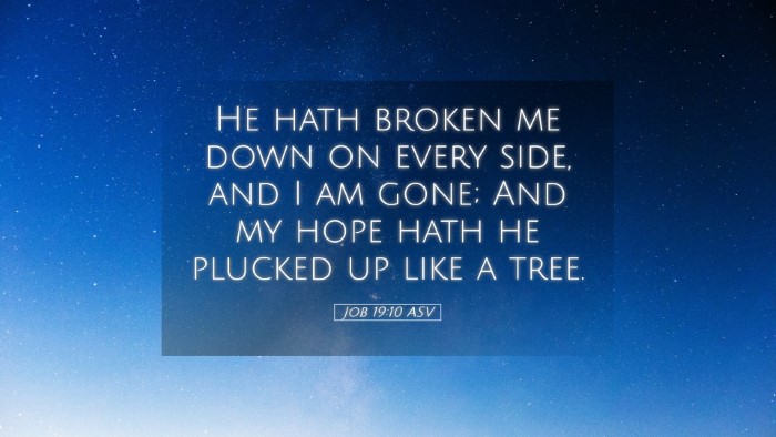 Picture 05 - Job 19:10 ASV Desktop Wallpaper - He hath broken me down on every side, and I am - Desktop Bible Verse Wallpaper