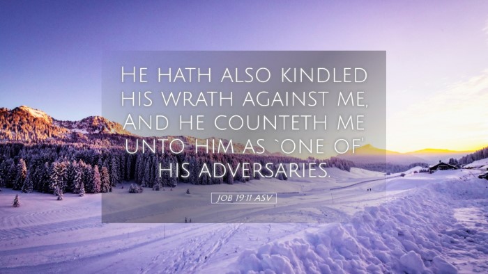 Picture 05 - Job 19:11 ASV Desktop Wallpaper - He hath also kindled his wrath against me, And he - Desktop Bible Verse Wallpaper