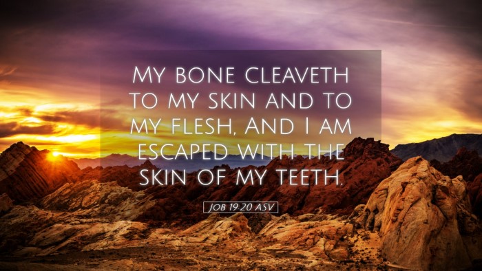 Picture 05 - Job 19:20 ASV Desktop Wallpaper - My bone cleaveth to my skin and to my flesh, And - Desktop Bible Verse Wallpaper