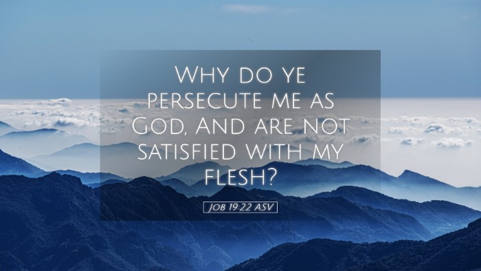 Picture 05 - Job 19:22 ASV Desktop Wallpaper - Why do ye persecute me as God, And are not - Desktop Bible Verse Wallpaper