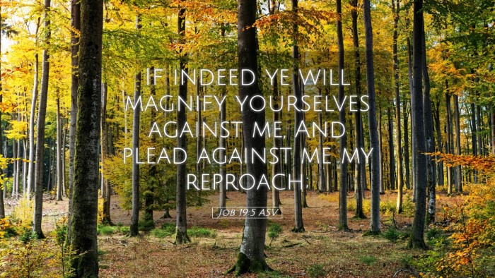 Picture 05 - Job 19:5 ASV Desktop Wallpaper - If indeed ye will magnify yourselves against me, - Desktop Bible Verse Wallpaper