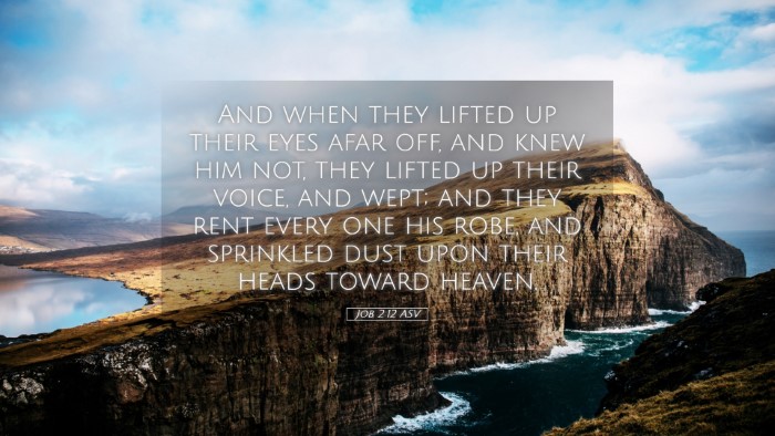 Picture 05 - Job 2:12 ASV Desktop Wallpaper - And when they lifted up their eyes afar off, and - Desktop Bible Verse Wallpaper