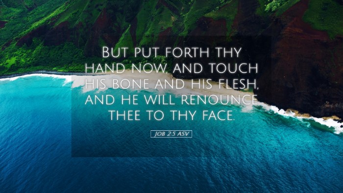Picture 05 - Job 2:5 ASV Desktop Wallpaper - But put forth thy hand now, and touch his bone - Desktop Bible Verse Wallpaper