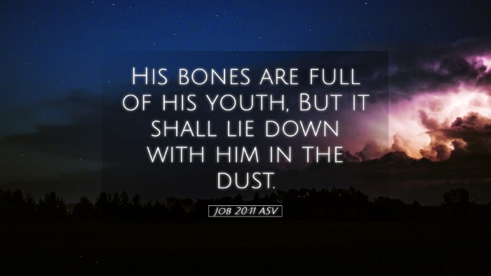 Picture 05 - Job 20:11 ASV Desktop Wallpaper - His bones are full of his youth, But it shall lie - Desktop Bible Verse Wallpaper