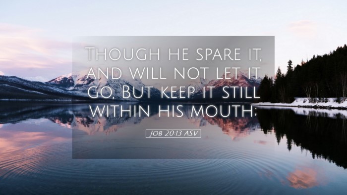 Picture 05 - Job 20:13 ASV Desktop Wallpaper - Though he spare it, and will not let it go, But - Desktop Bible Verse Wallpaper