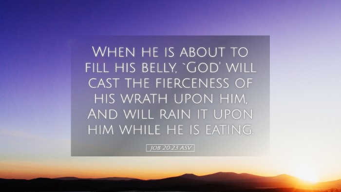 Picture 05 - Job 20:23 ASV Desktop Wallpaper - When he is about to fill his belly, `God' will - Desktop Bible Verse Wallpaper
