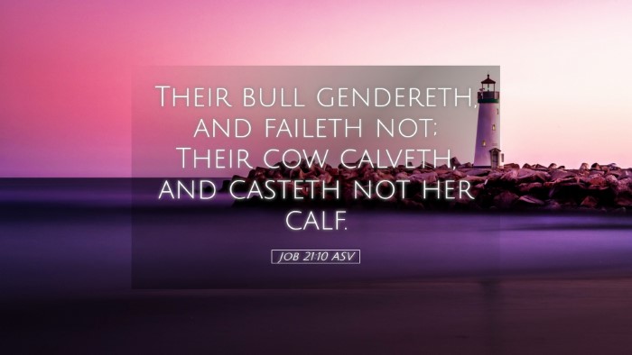 Picture 05 - Job 21:10 ASV Desktop Wallpaper - Their bull gendereth, and faileth not; Their cow - Desktop Bible Verse Wallpaper