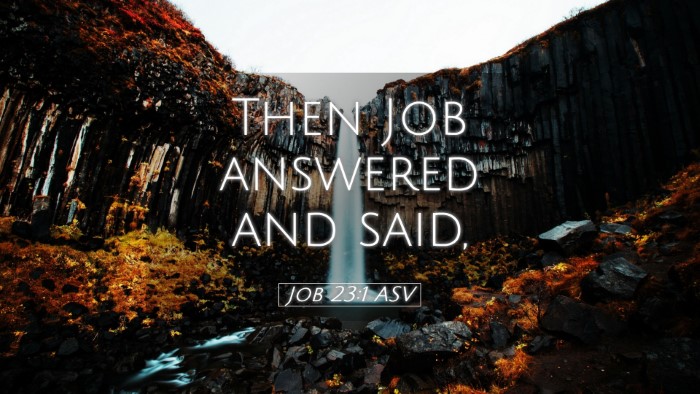 Picture 05 - Job 23:1 ASV Desktop Wallpaper - Then Job answered and - Desktop Bible Verse Wallpaper