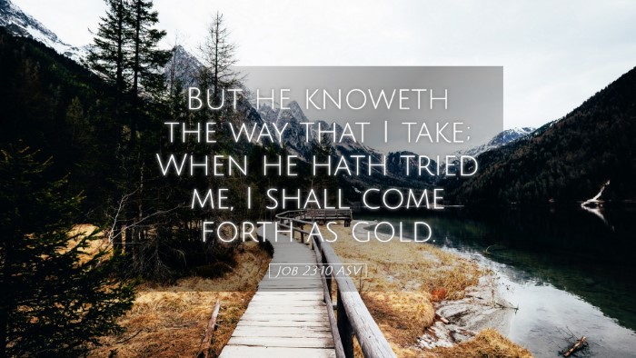 Picture 05 - Job 23:10 ASV Desktop Wallpaper - But he knoweth the way that I take; When he hath - Desktop Bible Verse Wallpaper